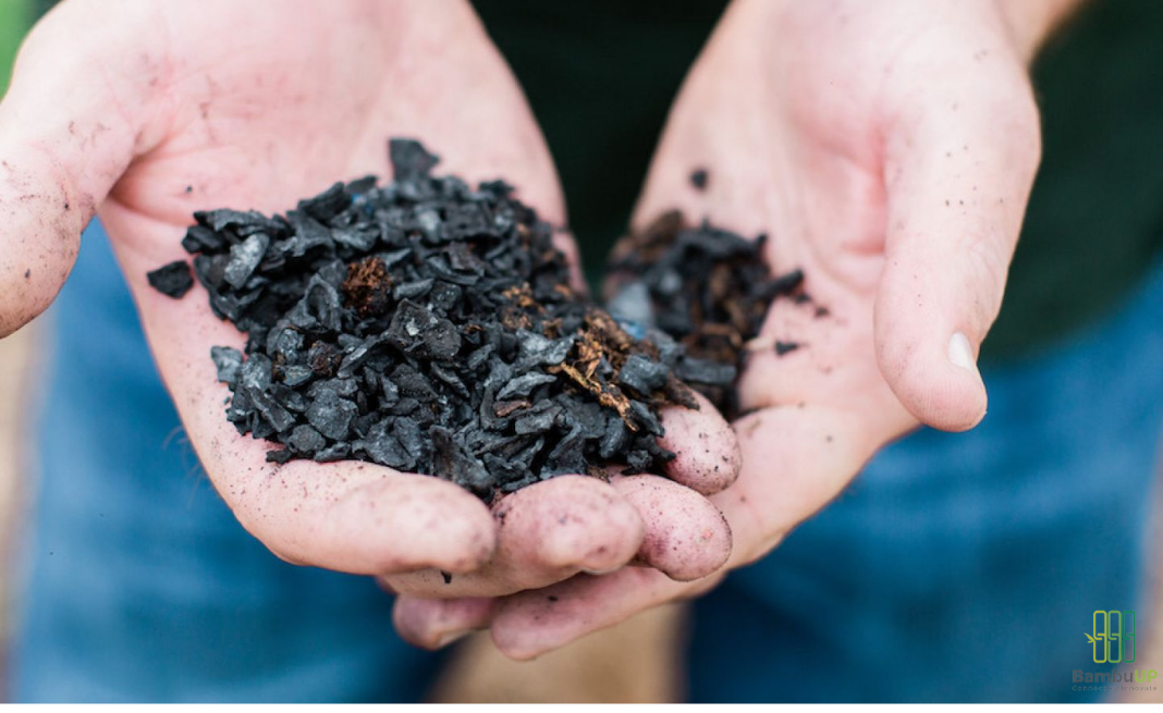 Biochar là gì? Khám Phá Những Lợi Ích Chưa Từng Có Của Than Sinh Học