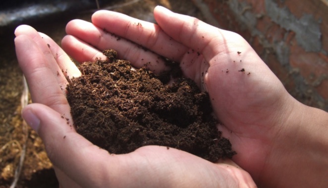 Yếu tố quyết định sự chênh lệch giá