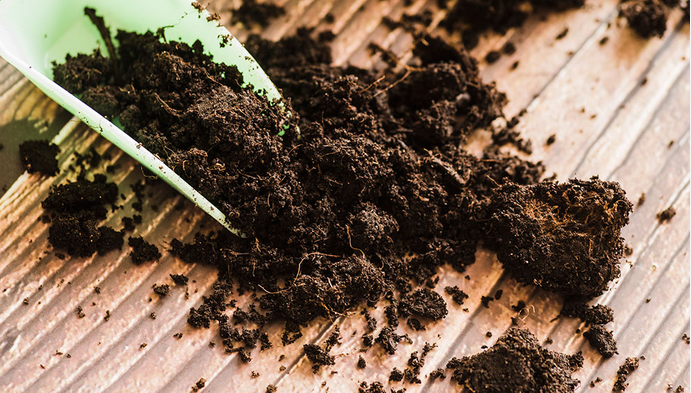 Phân hữu cơ dễ sử dụng