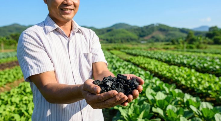 Du an tin chi carbon tu biochar tai Viet Nam giup cai thien moi truong