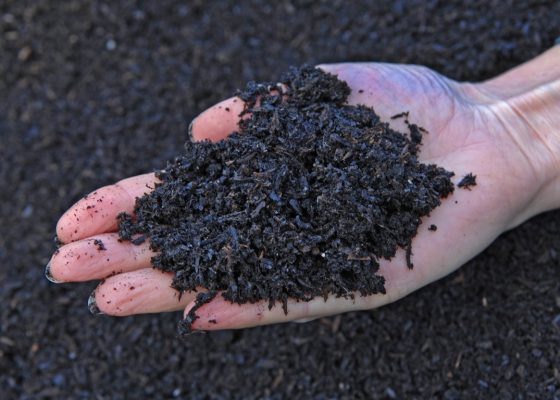 Biochar có thay thế phân bón được không