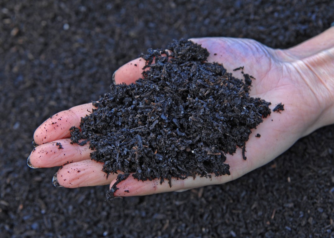 Biochar có thay thế phân bón được không