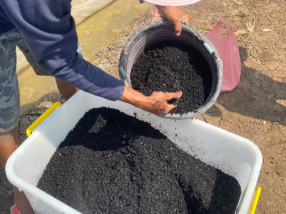 https://huucovang.com/wp-content/uploads/2026/02/biochar-co-thay-the-phan-bon-duoc-khong-su-that-nguoi-trong-cay-can-biet-2038-2.jpg