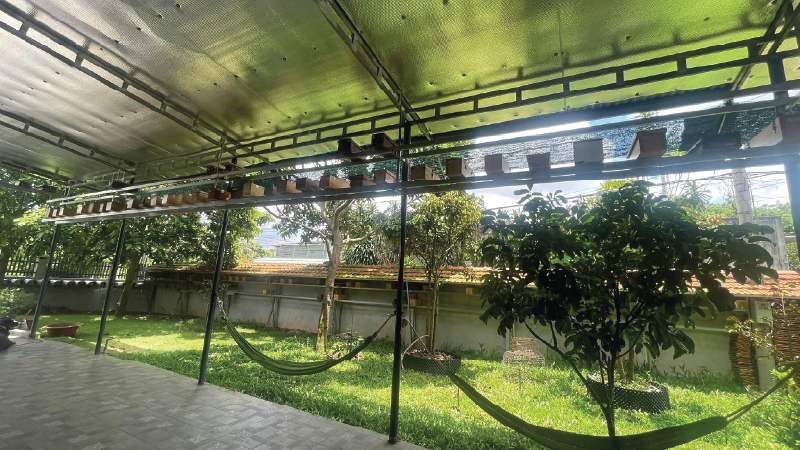 quy trình nuôi ong dú tại nhà