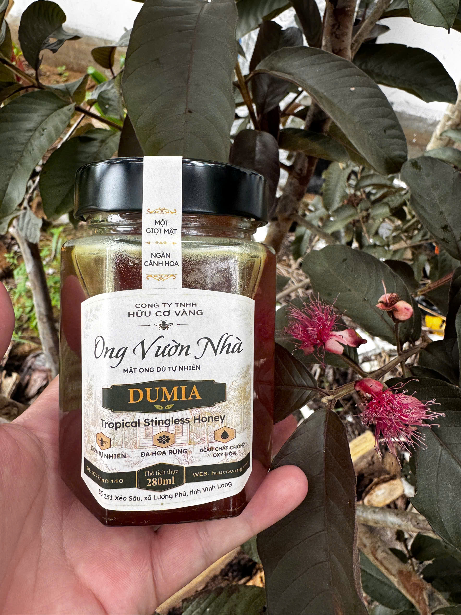 Mật Ong Dú Tự Nhiên