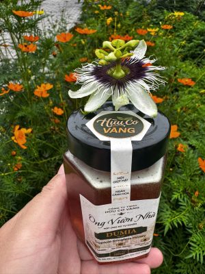 mua mật ong dú